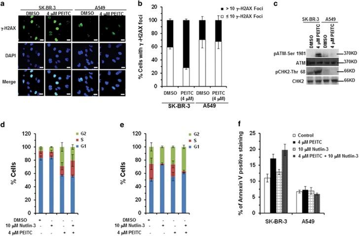 https://cdn.ncbi.nlm.nih.gov/pmc/blobs/db35/5041190/c81d934deded/cdd201648f7.jpg