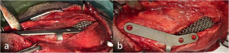 https://cdn.ncbi.nlm.nih.gov/pmc/blobs/db36/7418395/9393ff6dae38/12917_2020_2469_Fig5_HTML.jpg