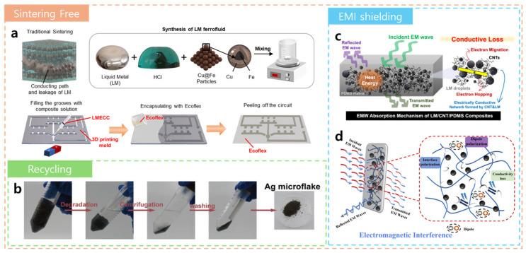 https://cdn.ncbi.nlm.nih.gov/pmc/blobs/db39/12293558/c69358c8cdcc/biosensors-15-00466-g002.jpg