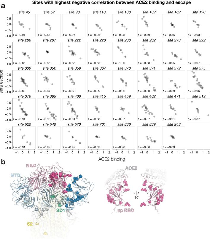 https://cdn.ncbi.nlm.nih.gov/pmc/blobs/db3a/11254757/7f84151a0e19/41586_2024_7636_Fig15_ESM.jpg
