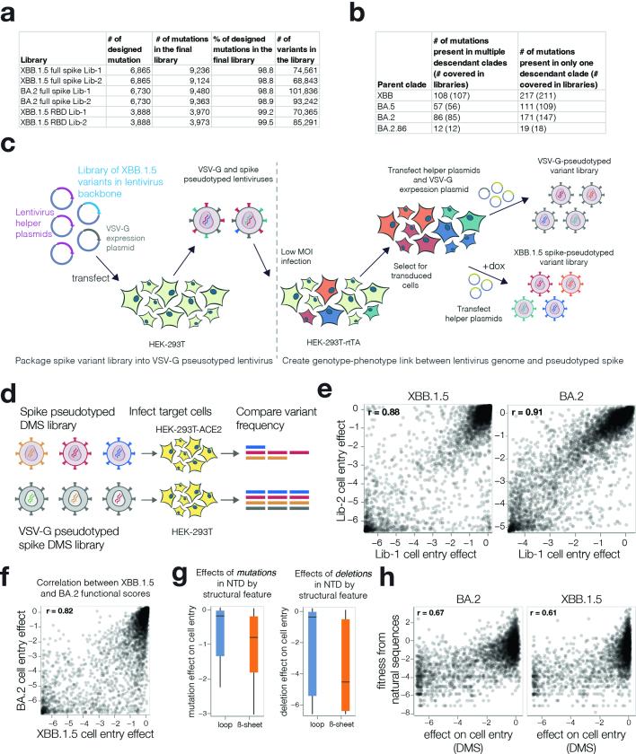 https://cdn.ncbi.nlm.nih.gov/pmc/blobs/db3a/11254757/fedd80d9ce31/41586_2024_7636_Fig7_ESM.jpg