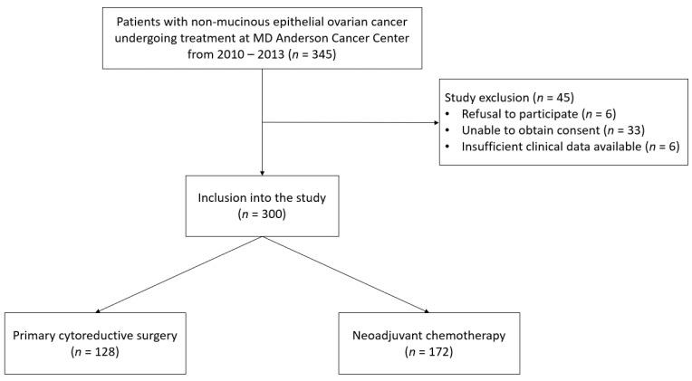 https://cdn.ncbi.nlm.nih.gov/pmc/blobs/db3a/7956737/3353c6ccb451/cancers-13-00946-g001.jpg