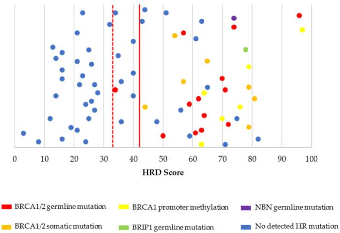 https://cdn.ncbi.nlm.nih.gov/pmc/blobs/db3a/7956737/53c7d230b1b6/cancers-13-00946-g002.jpg