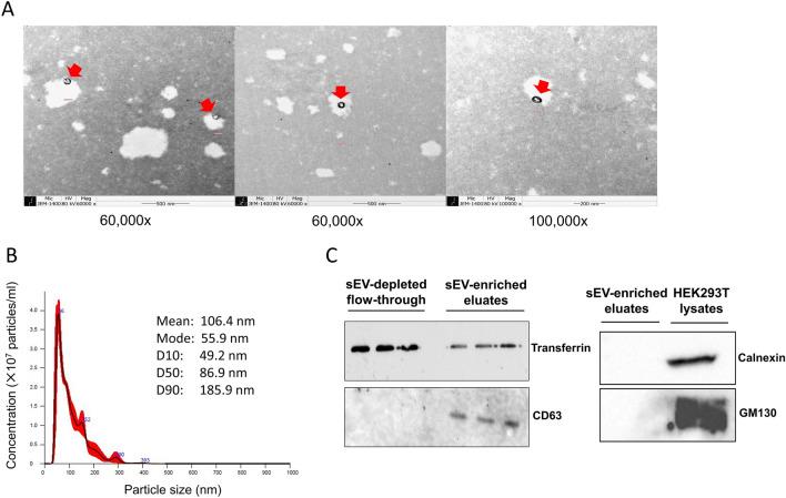 https://cdn.ncbi.nlm.nih.gov/pmc/blobs/db3b/10073149/abe5f891c8cb/41598_2023_32717_Fig1_HTML.jpg