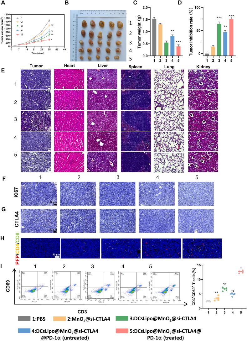 https://cdn.ncbi.nlm.nih.gov/pmc/blobs/db3b/12275122/354d6a024021/gr5.jpg