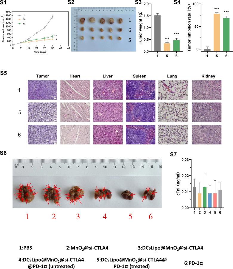 https://cdn.ncbi.nlm.nih.gov/pmc/blobs/db3b/12275122/9744fcd9f8db/mmcfigs1.jpg