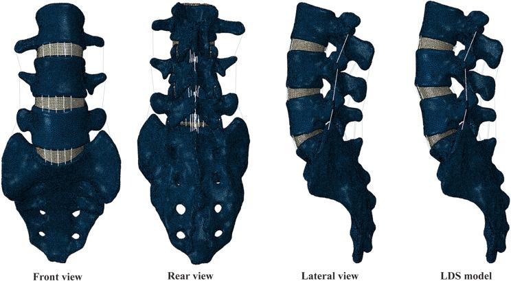 https://cdn.ncbi.nlm.nih.gov/pmc/blobs/db3e/10983632/cbc2d711e308/13018_2024_4681_Fig1_HTML.jpg