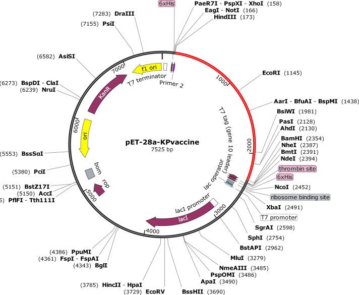 https://cdn.ncbi.nlm.nih.gov/pmc/blobs/db3e/9431259/26bbb5a67425/spectrum.01148-22-f007.jpg