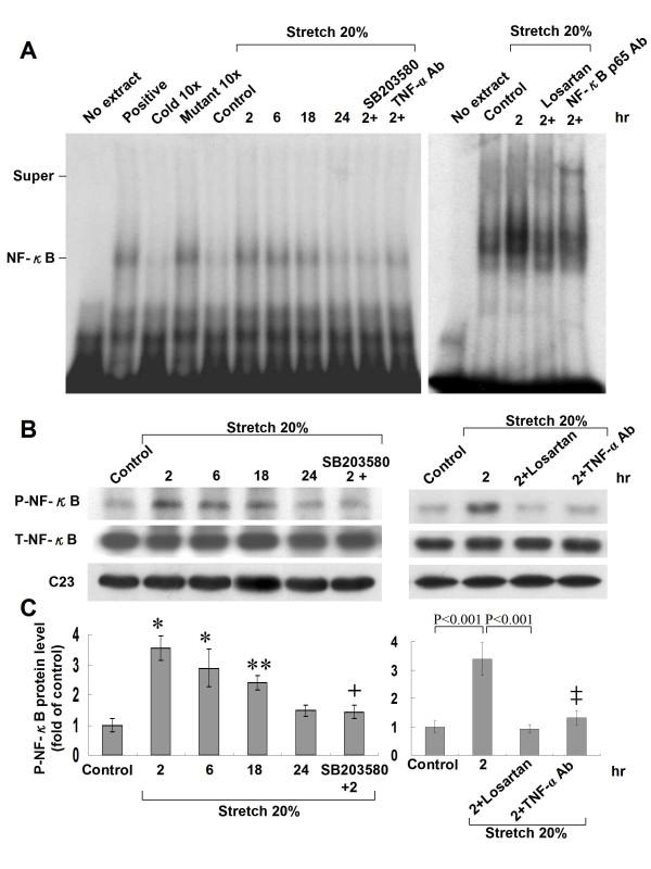 https://cdn.ncbi.nlm.nih.gov/pmc/blobs/db3f/2844375/6283ba60d13c/1423-0127-17-15-6.jpg