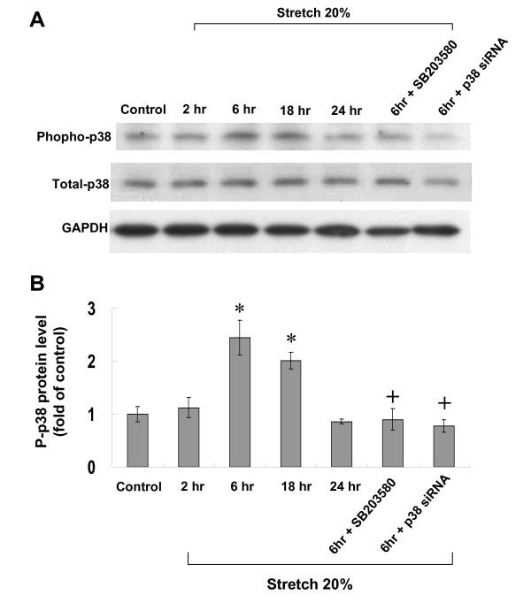https://cdn.ncbi.nlm.nih.gov/pmc/blobs/db3f/2844375/99cd6899bf65/1423-0127-17-15-3.jpg