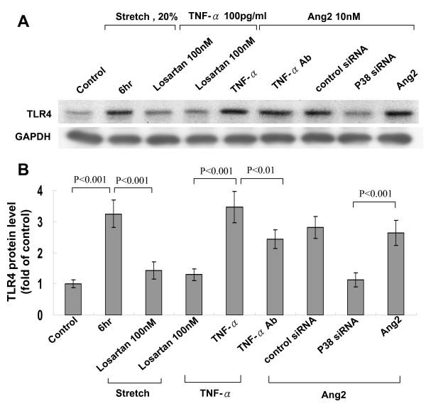 https://cdn.ncbi.nlm.nih.gov/pmc/blobs/db3f/2844375/d8ccf280432d/1423-0127-17-15-4.jpg