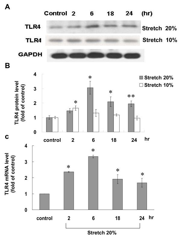https://cdn.ncbi.nlm.nih.gov/pmc/blobs/db3f/2844375/e60f678e7ba6/1423-0127-17-15-1.jpg