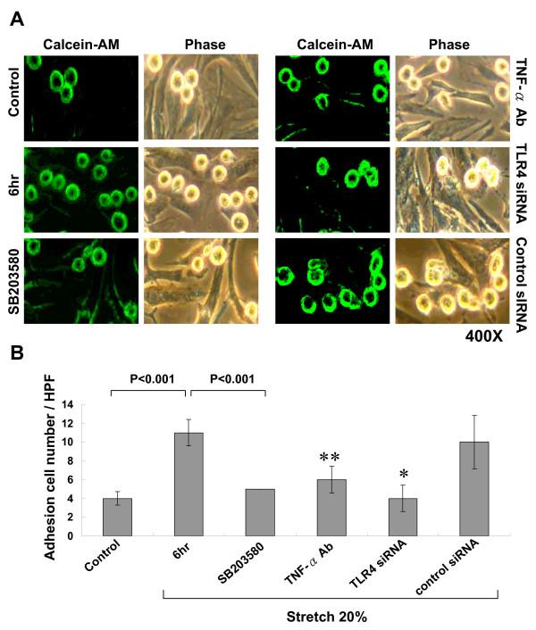 https://cdn.ncbi.nlm.nih.gov/pmc/blobs/db3f/2844375/ea73f6fa1592/1423-0127-17-15-8.jpg