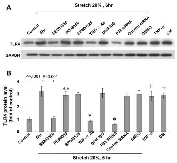 https://cdn.ncbi.nlm.nih.gov/pmc/blobs/db3f/2844375/f2be8c77b28b/1423-0127-17-15-2.jpg