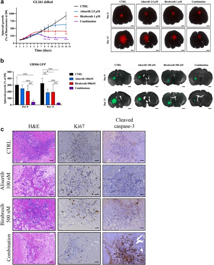 https://cdn.ncbi.nlm.nih.gov/pmc/blobs/db40/10433015/493a27918673/gr5.jpg