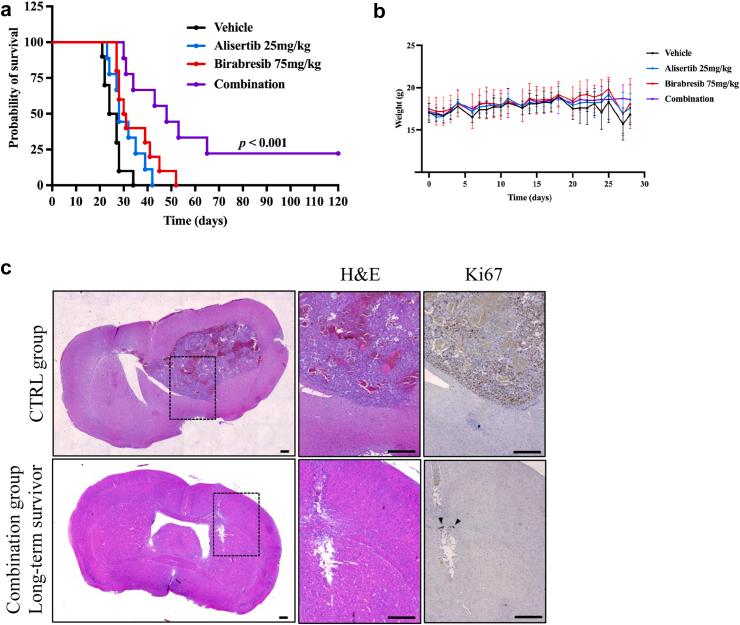 https://cdn.ncbi.nlm.nih.gov/pmc/blobs/db40/10433015/66c98e33a290/gr6.jpg
