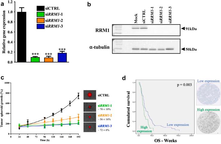 https://cdn.ncbi.nlm.nih.gov/pmc/blobs/db40/10433015/d02e13e4e965/gr2.jpg