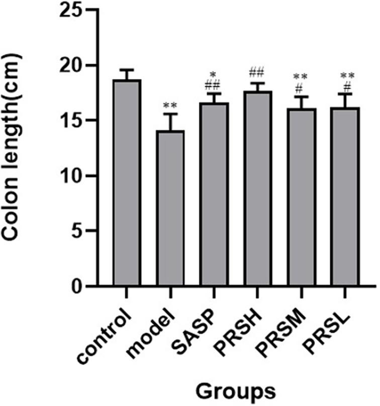 https://cdn.ncbi.nlm.nih.gov/pmc/blobs/db40/8602866/c6e26a94b260/fcimb-11-728929-g003.jpg