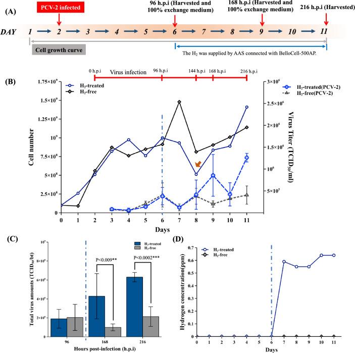 https://cdn.ncbi.nlm.nih.gov/pmc/blobs/db41/10876984/debc3ede9aaf/41598_2024_54847_Fig6_HTML.jpg