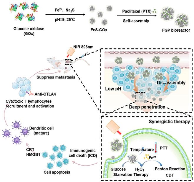 https://cdn.ncbi.nlm.nih.gov/pmc/blobs/db41/9465017/84bd00ad94d5/fchem-10-1000709-g003.jpg
