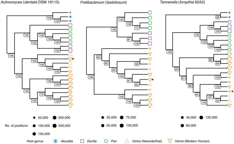 https://cdn.ncbi.nlm.nih.gov/pmc/blobs/db42/8157933/d733dfcd0add/pnas.2021655118fig04.jpg