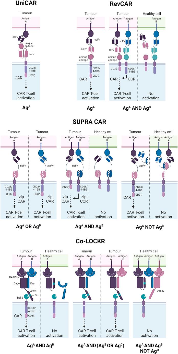 https://cdn.ncbi.nlm.nih.gov/pmc/blobs/db43/11403239/a3bd216af9b7/gr4.jpg