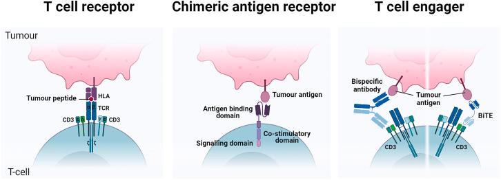 https://cdn.ncbi.nlm.nih.gov/pmc/blobs/db43/11403239/c8cb10374114/gr1.jpg