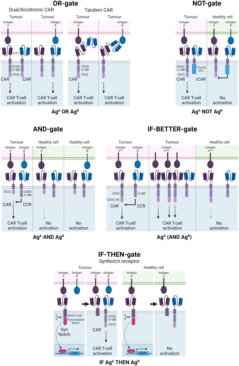 https://cdn.ncbi.nlm.nih.gov/pmc/blobs/db43/11403239/cf134a16704e/gr2.jpg