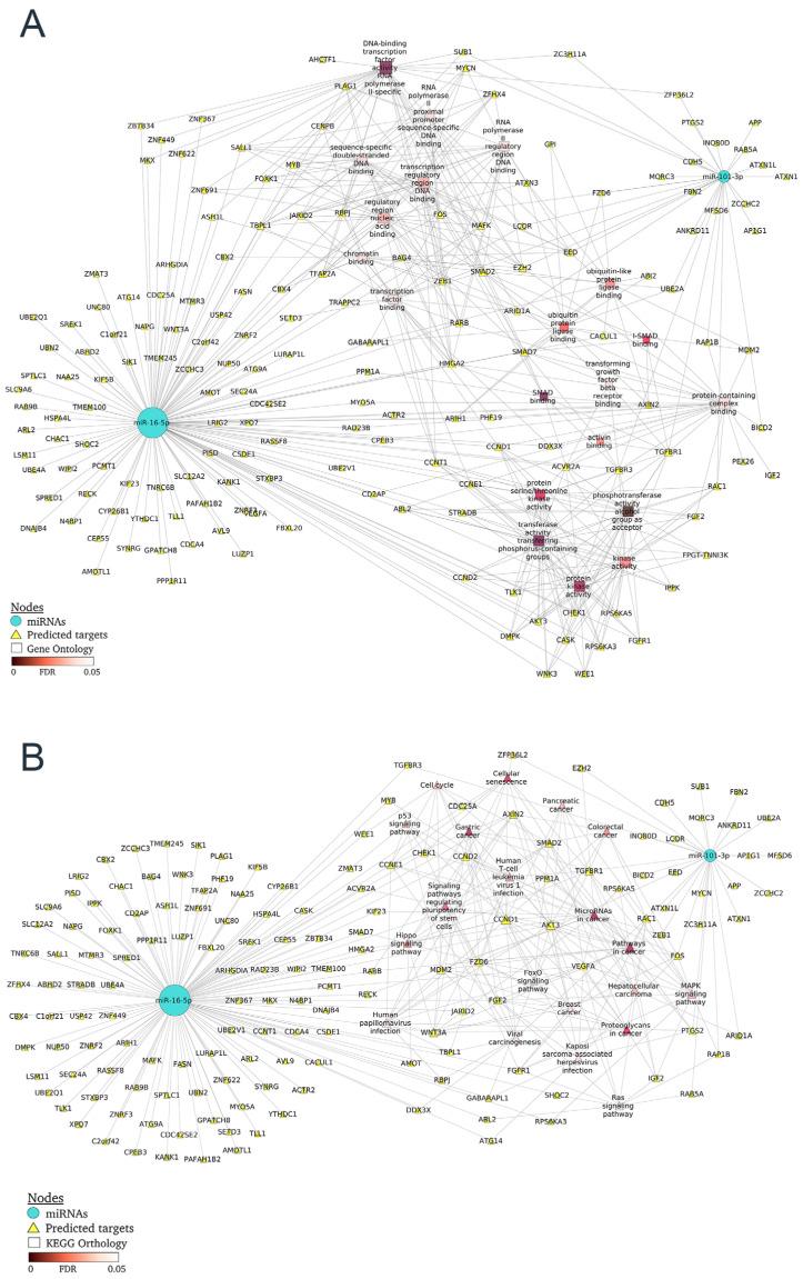 https://cdn.ncbi.nlm.nih.gov/pmc/blobs/db45/10139178/364668457351/ijms-24-07088-g004.jpg