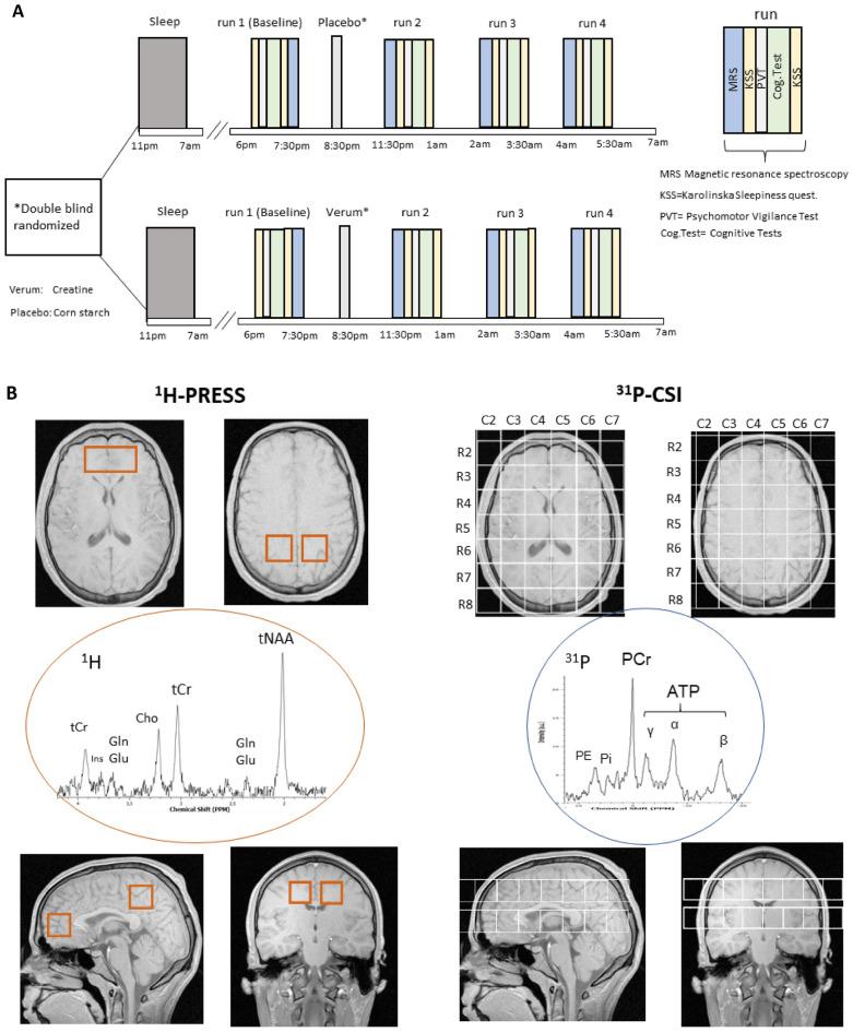 https://cdn.ncbi.nlm.nih.gov/pmc/blobs/db4a/10902318/73668f56e37d/41598_2024_54249_Fig1_HTML.jpg