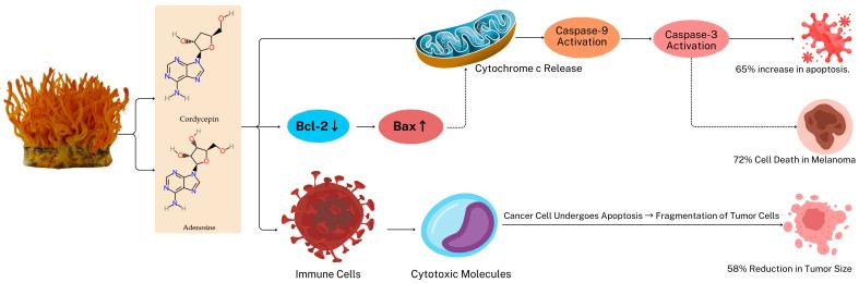 https://cdn.ncbi.nlm.nih.gov/pmc/blobs/db4c/11764995/5ad294f24ce0/gels-11-00033-g003.jpg