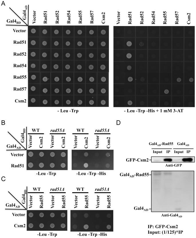 https://cdn.ncbi.nlm.nih.gov/pmc/blobs/db4e/3855272/4cd5b347b5ab/pone.0081371.g004.jpg