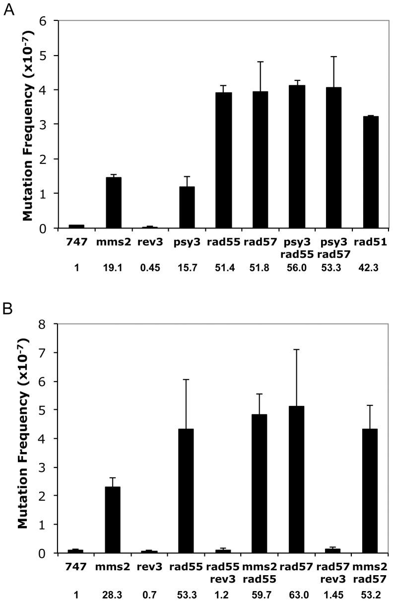 https://cdn.ncbi.nlm.nih.gov/pmc/blobs/db4e/3855272/629129872f01/pone.0081371.g002.jpg
