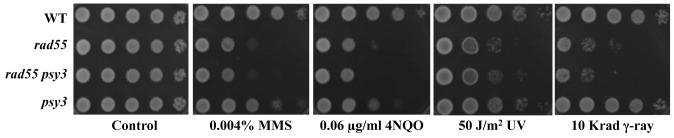 https://cdn.ncbi.nlm.nih.gov/pmc/blobs/db4e/3855272/8205d354eb05/pone.0081371.g001.jpg