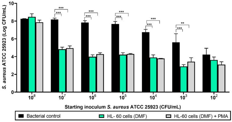 https://cdn.ncbi.nlm.nih.gov/pmc/blobs/db4e/7695255/acd12d8505a8/microorganisms-08-01757-g002.jpg