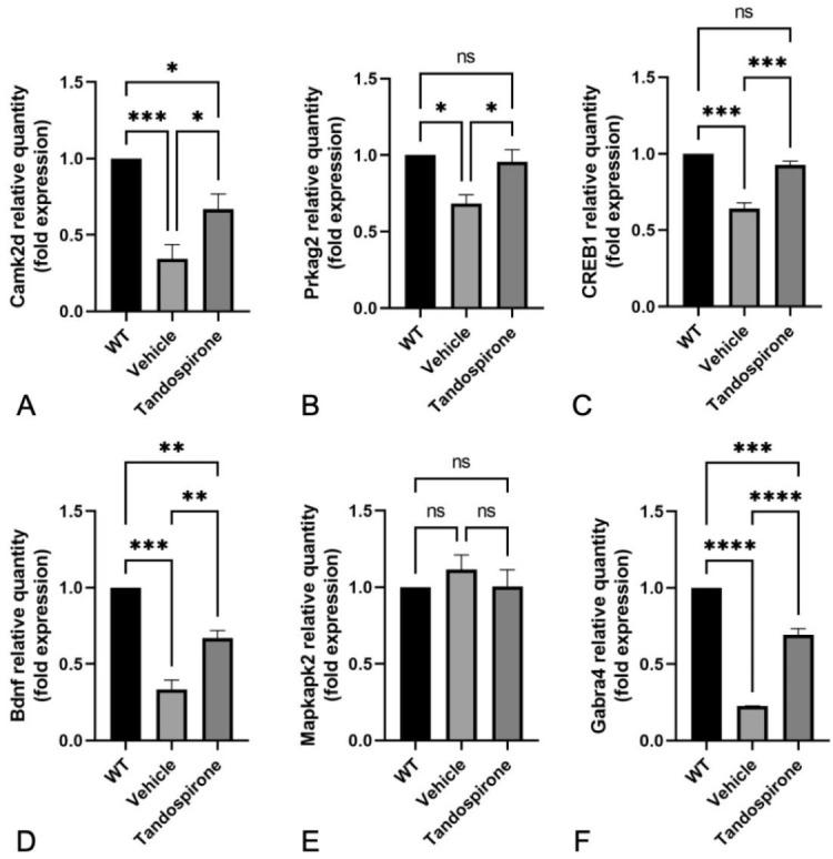 https://cdn.ncbi.nlm.nih.gov/pmc/blobs/db4e/9697184/e9a2a716a820/ijms-23-14025-g006.jpg