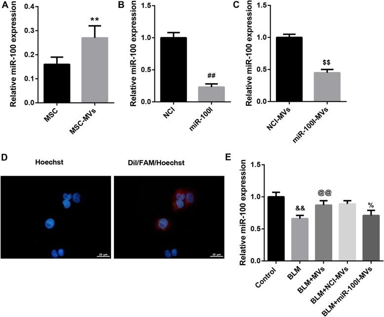 https://cdn.ncbi.nlm.nih.gov/pmc/blobs/db50/7071666/0eca7d293ef1/13287_2020_1617_Fig1_HTML.jpg