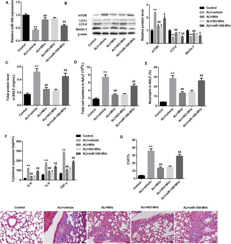 https://cdn.ncbi.nlm.nih.gov/pmc/blobs/db50/7071666/89dafb18c37d/13287_2020_1617_Fig6_HTML.jpg