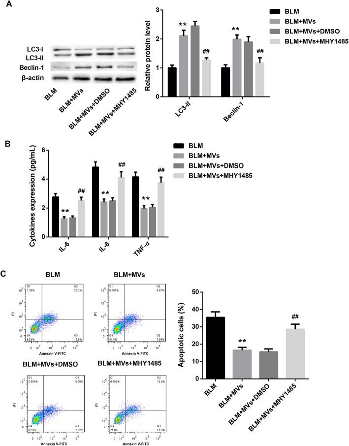 https://cdn.ncbi.nlm.nih.gov/pmc/blobs/db50/7071666/a9ea406e3d54/13287_2020_1617_Fig4_HTML.jpg
