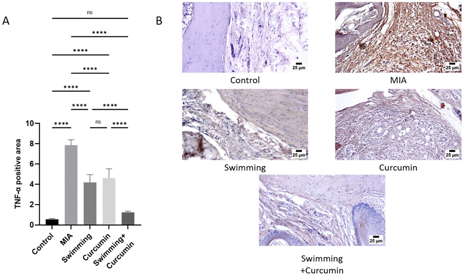 https://cdn.ncbi.nlm.nih.gov/pmc/blobs/db51/10538387/0554edf000c5/nihms-1931054-f0008.jpg