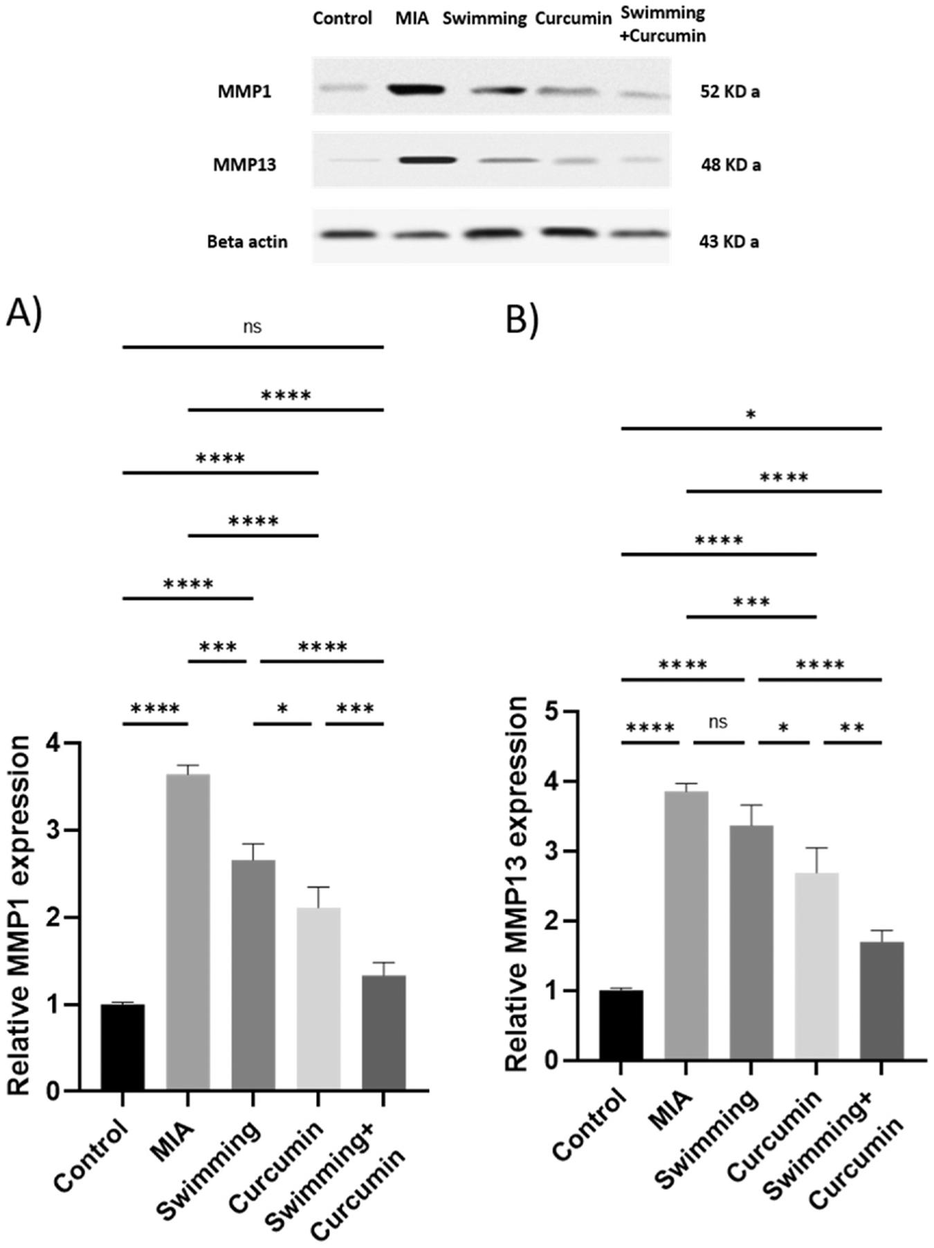 https://cdn.ncbi.nlm.nih.gov/pmc/blobs/db51/10538387/e7fff76ef025/nihms-1931054-f0005.jpg