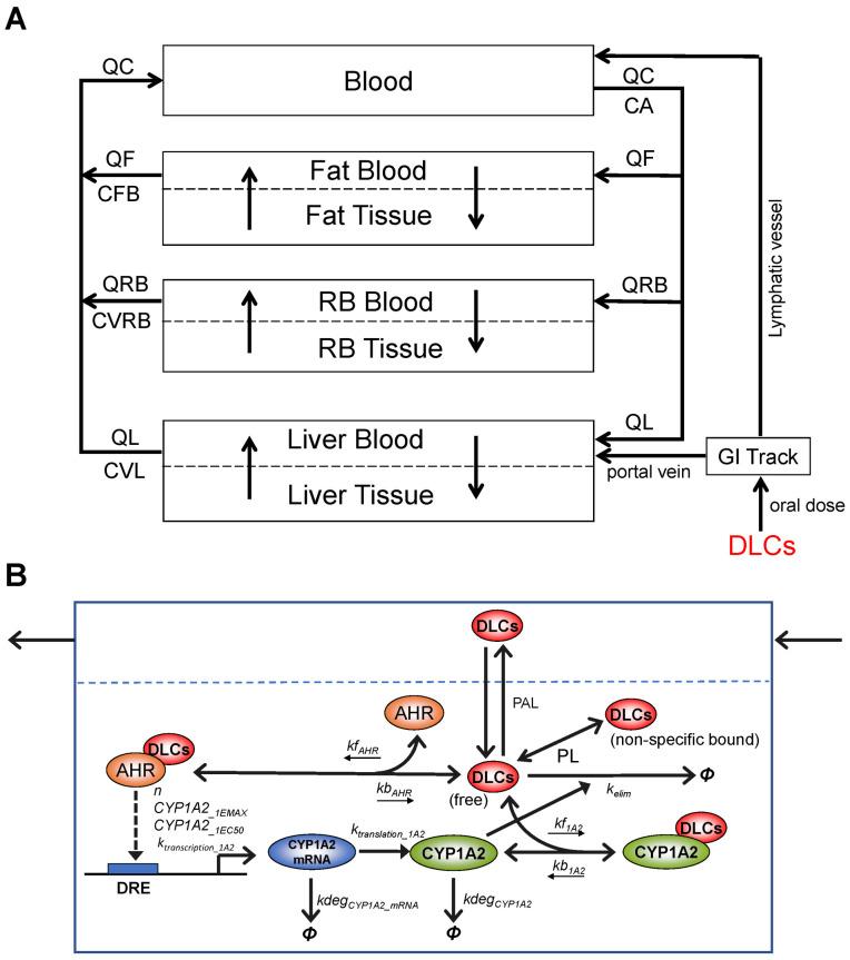 https://cdn.ncbi.nlm.nih.gov/pmc/blobs/db53/9698634/f51c6439d297/toxics-10-00700-g001.jpg