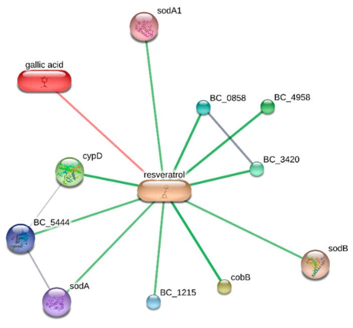 https://cdn.ncbi.nlm.nih.gov/pmc/blobs/db55/7560210/46991a171e7f/antibiotics-09-00611-g003.jpg