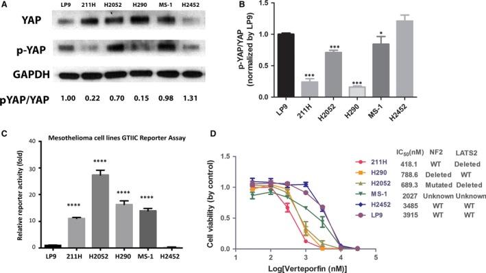 https://cdn.ncbi.nlm.nih.gov/pmc/blobs/db57/5661117/20217a8dd47a/JCMM-21-2663-g001.jpg