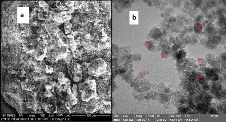 https://cdn.ncbi.nlm.nih.gov/pmc/blobs/db58/11150482/495e921124ab/41598_2024_62868_Fig2_HTML.jpg