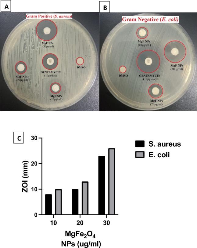 https://cdn.ncbi.nlm.nih.gov/pmc/blobs/db58/11150482/4a11fc442376/41598_2024_62868_Fig5_HTML.jpg