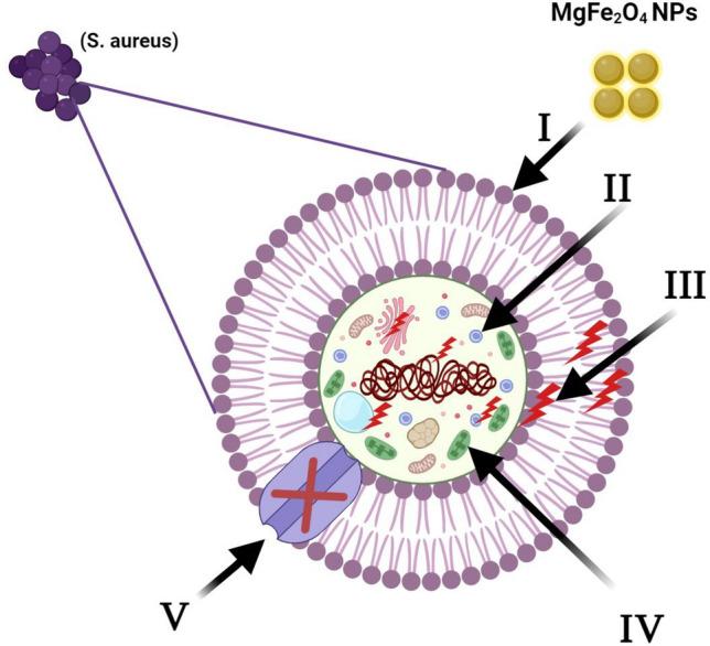 https://cdn.ncbi.nlm.nih.gov/pmc/blobs/db58/11150482/c0f1b2ba0247/41598_2024_62868_Fig7_HTML.jpg