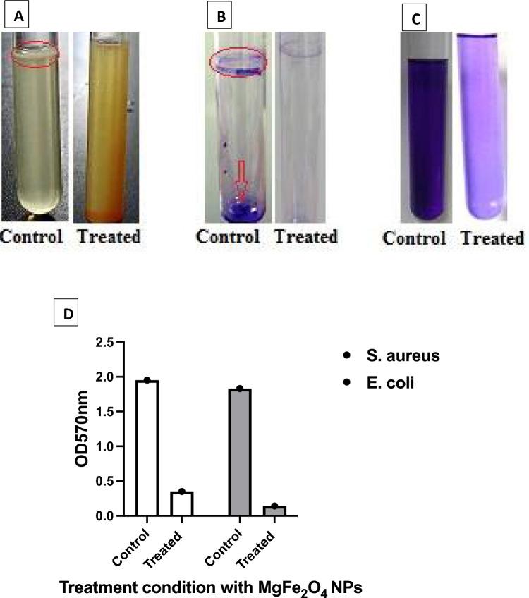 https://cdn.ncbi.nlm.nih.gov/pmc/blobs/db58/11150482/ec321d37774a/41598_2024_62868_Fig6_HTML.jpg