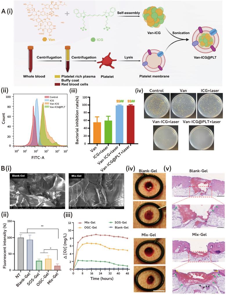 https://cdn.ncbi.nlm.nih.gov/pmc/blobs/db59/11699852/271e5f133328/IJN-19-14143-g0005.jpg
