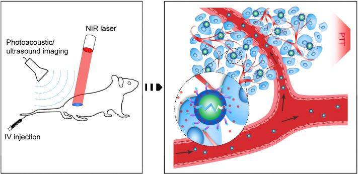 https://cdn.ncbi.nlm.nih.gov/pmc/blobs/db59/6135220/403246222e5b/ijn-13-5139Fig6.jpg